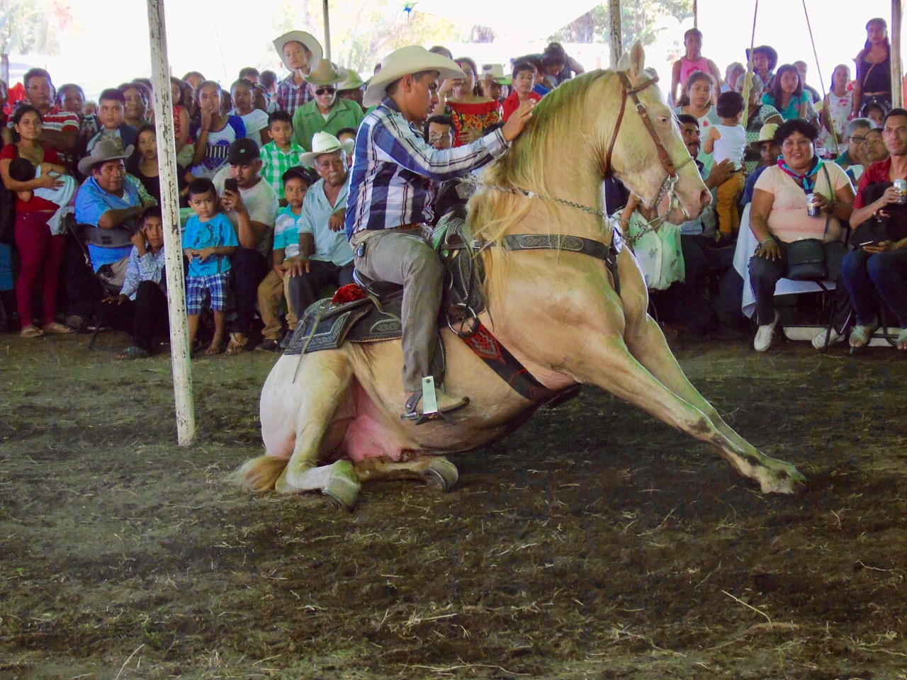 Horse show in Bajos de Chila