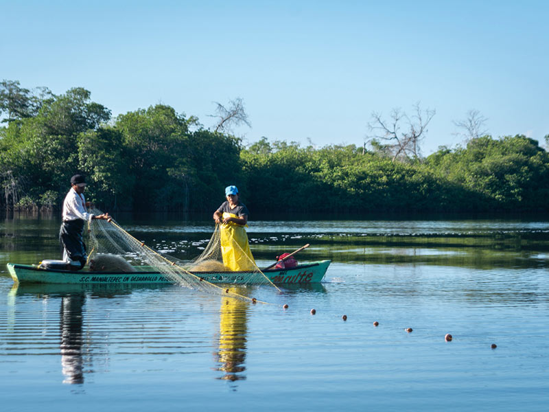 Por la mañana en la Laguna de Manialtepec. Foto: Ernesto J. Torres