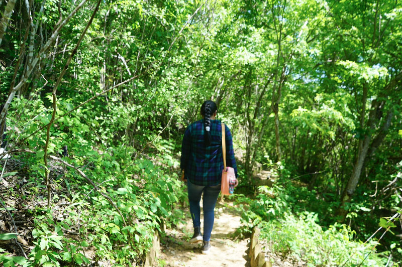 Botanic Garden Path