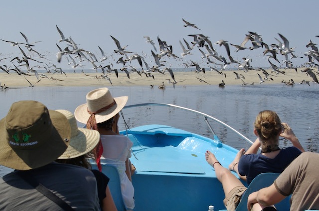 Manialtepec Lagoon. Photo: Mike Malone