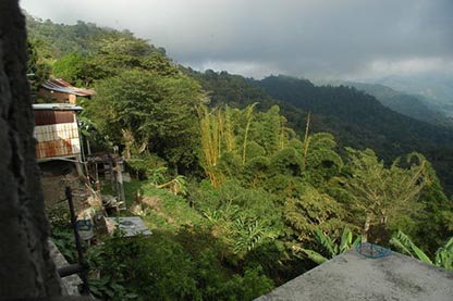 Pluma Hidalgo